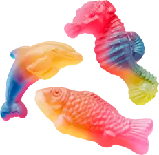 Rainbow Sea lösvikt kartong Malaco