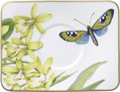 Fat espressokopp 14x11 cm Amazonia Villeroy & Boch