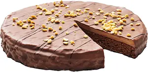 Chokladtårta Salt Karamell 14 bit Delicato