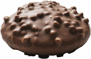 Lyxbiskvi med krokant Delicato