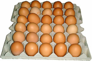 Ägg lösvikt Hyltbrings Ägg