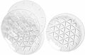 Picknick Tallrik 4-pack Sagaform