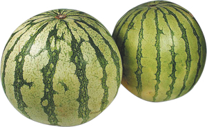 Melon vatten