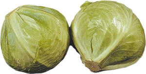 Vitkål