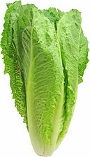 Romansallad