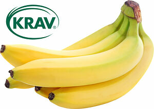 Bananer KRAV odlade