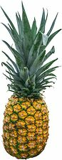 Ananas hel