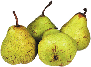 Päron Santa Maria