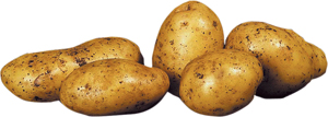 Potatis färsk Svensk