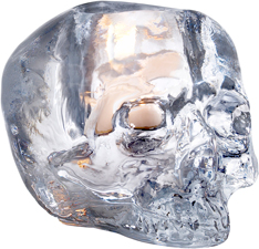 Still Life Ljuslykta Skull Klar Kosta Boda