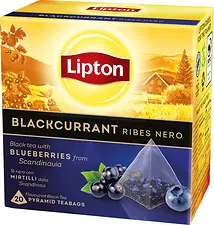 Te Lipton 20p pyramid Blackcurrant